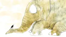 Why the elephant has tiny eyes - 1