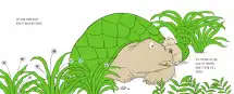 Green Turtle - 2