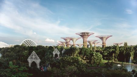 Gardens by the Bay in Singapore