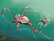 Dangerous or Endangered - 1