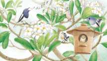 Birds in My Garden - 2