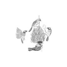 Dancings Frogs and Others Creatures in Verse - 1
