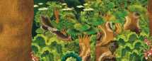 Nature Everywhere (A Book About Habitats in Protected Areas in the Philippines) - 6